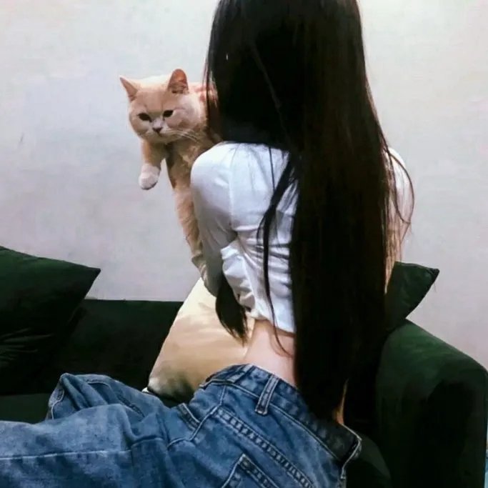 飞越危墙